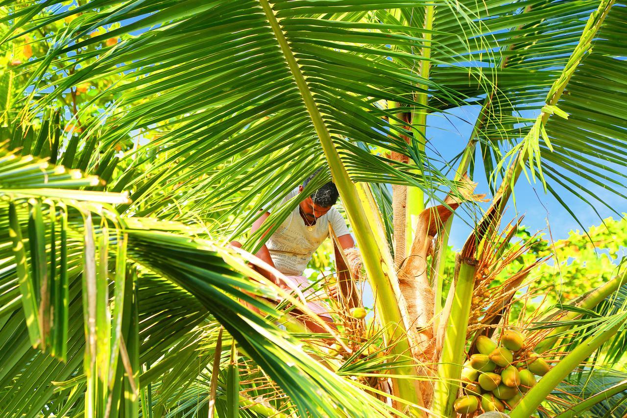 Casa Marari Hotel Mararikulam Buitenkant foto
